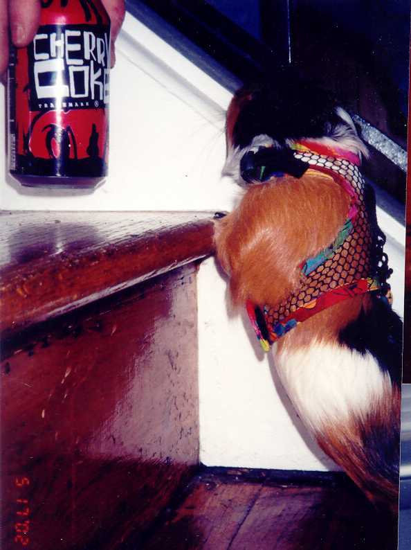 cherrycoke.jpg