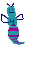 hornets.jpg