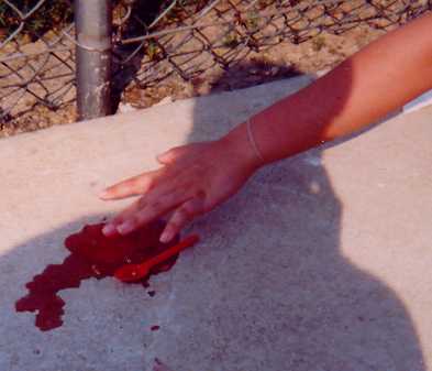 midjello.jpg
