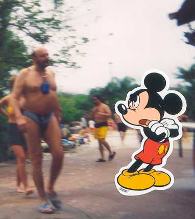 speedo.jpg